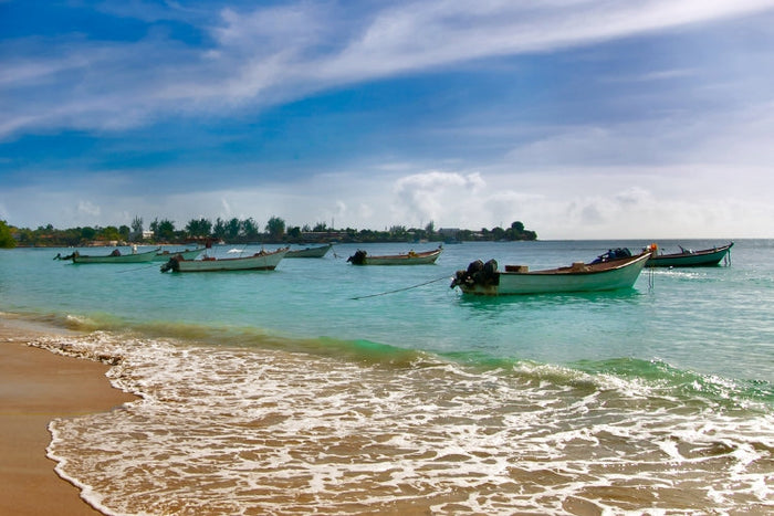 Tobago travel guide: Beaches, rainforest hikes & Caribbean culture